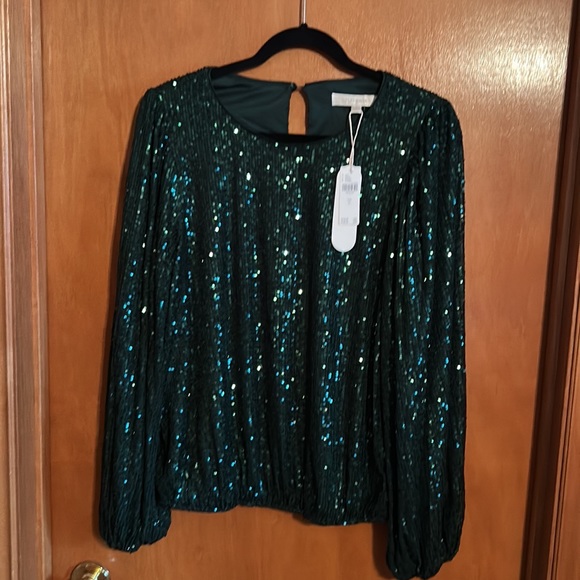 ANTHROPOLOGIE- Wine coloured sequins shirt by “Flat white - Picture 6 of 11